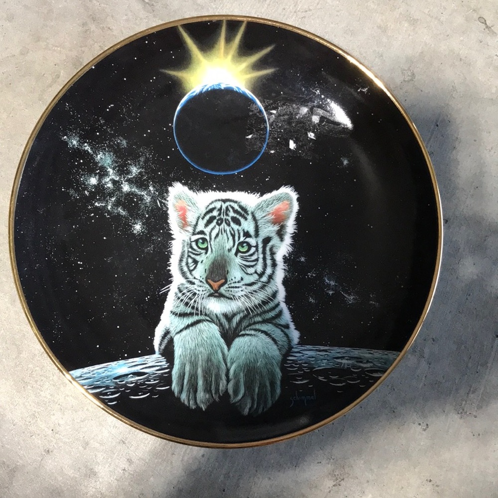 Royal Doulton White Tiger Cub on Black Cosmic Plate with Gold Rim